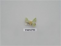 藏品(尺蛾371)的圖片